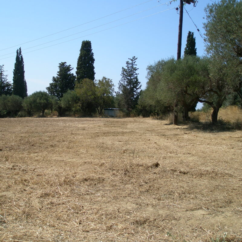 Our plot for sale